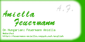 aniella feuermann business card